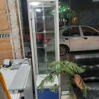 ویترین گردون