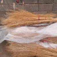 جارو شیرازی