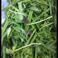 پاک کردن سبزی قورمه.‌اشی. کوکویی.نعناع وغیره