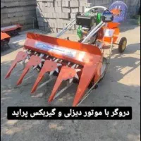 دروگر گشنیز و ...