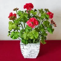 گلدان‌های دکوری و تزئینی کادویی