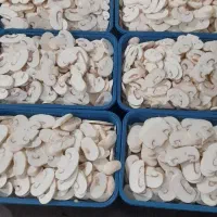 پخش قارچ اسلاییس درجه یک
