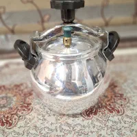 زودپز درحد نو