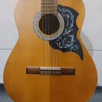 گیتار کاملا خوش صدا و بسیار سالم