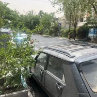 رنو پی کی مدل ۸۲سالم