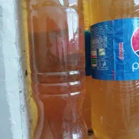 آبغوره ترش