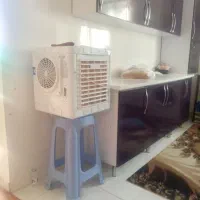 کولرابی