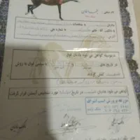 اسب|اسب و تجهیزات اسبسواری|نیشابور, هفده شهریور|دیوار
