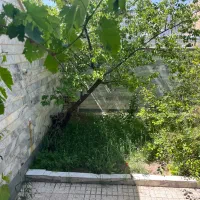 اجاره واحد ویلایی ورودی مشترک انصاریه