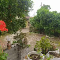 مغازه با مالک بلوار دهگان