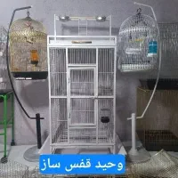 فروش بدون واسطه قفس ولوازم سگ گربه پرندگان کیف حمل
