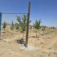 باغ فروشی با ساختمان کامل