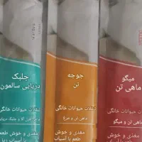 غذا وکت نیپ وکنسرو وبوچ وبستنی تشویقی گربه