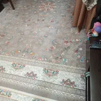 جفت دوازده متری نو