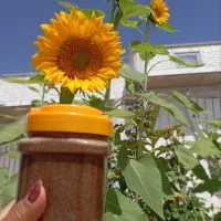 معجونی که جان ۳۵هزار نفر رو نجات داد