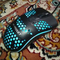 موس و زیر موس
