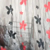 پرده