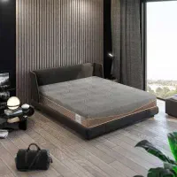طرح تعویض فوق العاده تشک