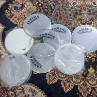 طلق دوقلو