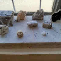 سنگ های تزئینی