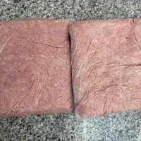 غذای گربه و سگ