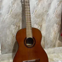 گیتار متاع پورنو با کیف