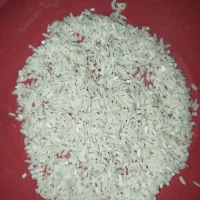 برنج چمپا