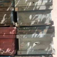 کندو خالی زنبور عسل