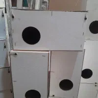 لونه عروس هلندی