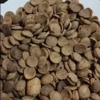 غذا خشک خوش خوراک گربه سگ به صرفه