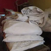 گونی اردی