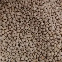 نخود بهاره کیلوی180هزار