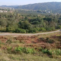 زمین
