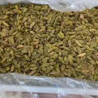 کشمش سبز قلمی کاشمر