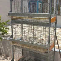 قفس مرغ