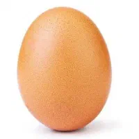 تخم مرغ محلی