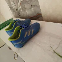 کفش ورزشی کفش فوتبالی