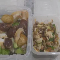 حلزون آفریقا