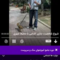دوره جامع تربیت سگ آموزش سگ اپلیکیشن مربی سگ