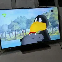 تلویزیون ۴۹اینچ دوو