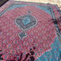 یک دونه فرش ۷۰۰شانه