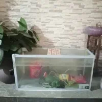 آکواریوم شیشه ای