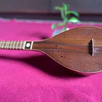 سه تار حرفه ای ساخته استاد صدر