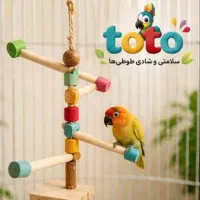 طو طو|پرنده|پردیس, فاز ۳|دیوار