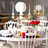 اجاره سالن عقد بله برون تولد ایونت  (امکان تفکیک )