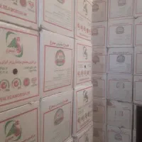 استخدام نیرو خانم