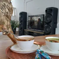 کار در منزل(بانوان)