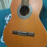 گیتار‌مدلm6