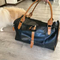 کیف حمل حیوانات