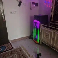 بلندگوی حرفه ای